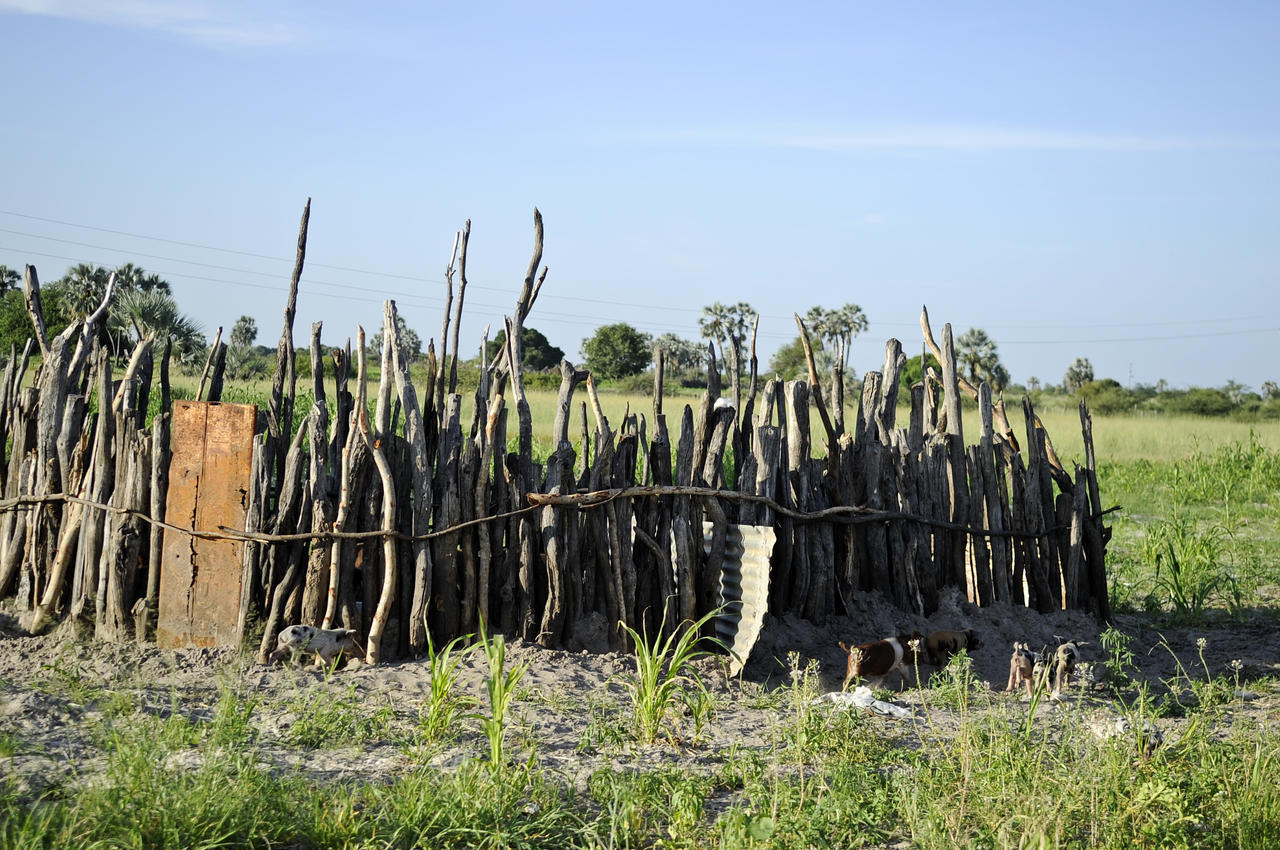 Ongula Village Homestead Lodge Omupumba Dış mekan fotoğraf